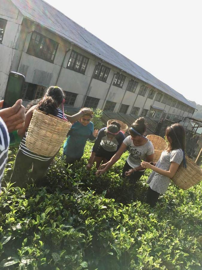 Ramboda Villa Kotmale Ngoại thất bức ảnh